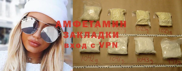 индика Алзамай