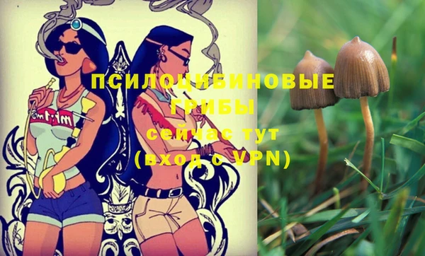 spice Алексеевка