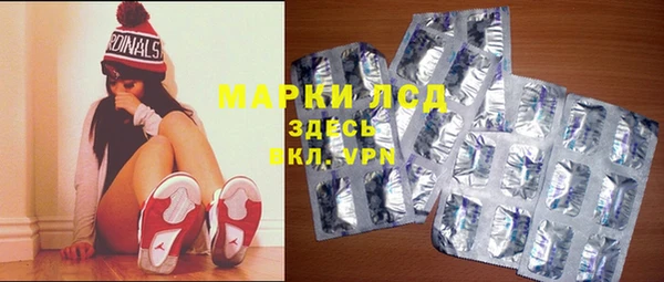 индика Алзамай