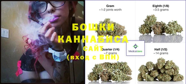 индика Алзамай