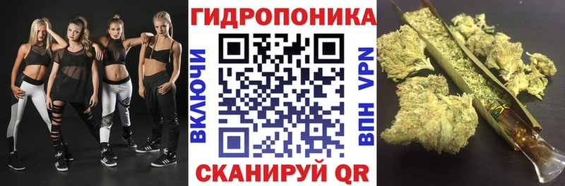 где продают   Амурск  Шишки марихуана ГИДРОПОН 